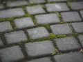 Szara kostka brukowa z zielonym mchem między fugami. Dowiedz się, jak usunąć mech z kostki, by odzyskać jej pierwotny wygląd.
