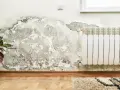 Ściana z odpadającą farbą i ciemnymi plamami, które mogą sugerować pleśń, a nie grzyb. Obok kaloryfer i roślina.