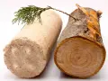 Dwa rodzaje opału: brykiet drzewny i drewno opałowe. Gałązka iglaka spoczywa na brykiecie, symbolizując naturę.