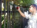 Mężczyzna w rękawicach maluje pędzlem czarny, metalowy płot. Odnawia ogrodzenie, by wyglądało jak nowe.