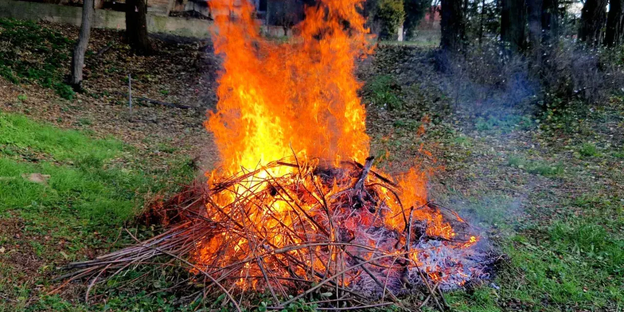Duży ogień z gałęzi płonie na trawie. Czy można palić gałęzie na działce? Dym unosi się w powietrzu.