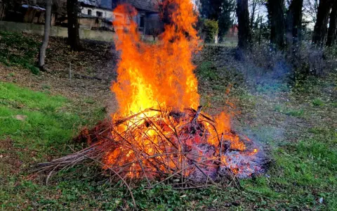 Duży ogień z gałęzi płonie na trawie. Czy można palić gałęzie na działce? Dym unosi się w powietrzu.