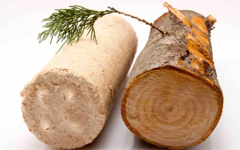 Dwa rodzaje opału: brykiet drzewny i drewno opałowe. Gałązka iglaka spoczywa na brykiecie, symbolizując naturę.