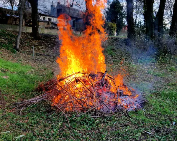 Duży ogień z gałęzi płonie na trawie. Czy można palić gałęzie na działce? Dym unosi się w powietrzu.