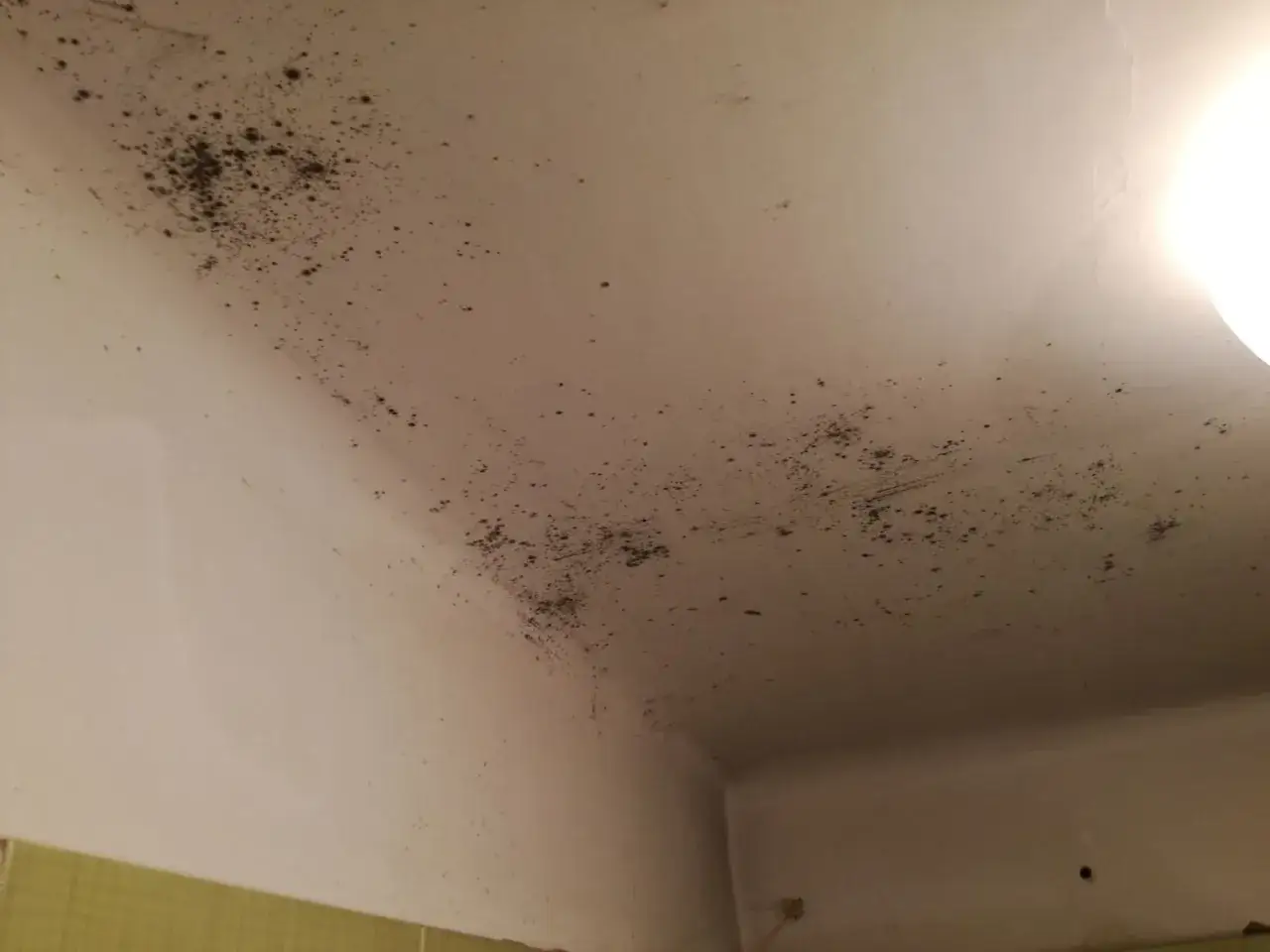 Grzyb w domu, ciemne plamy pleśni na suficie i ścianie, świadczą o wilgoci i problemach z wentylacją.