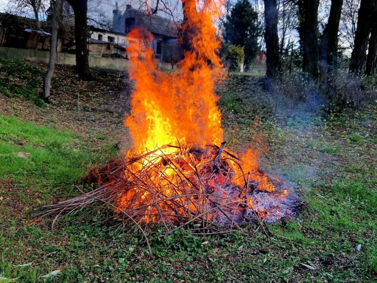 Duży ogień z gałęzi na trawie. Czy można palić gałęzie na działce? Dym unosi się w powietrzu.
